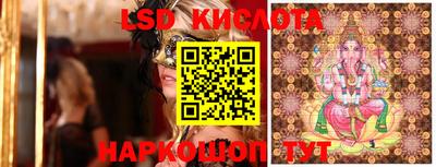 прущие грибы Шелехов