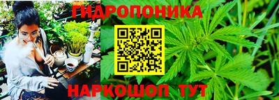 прущие грибы Шелехов