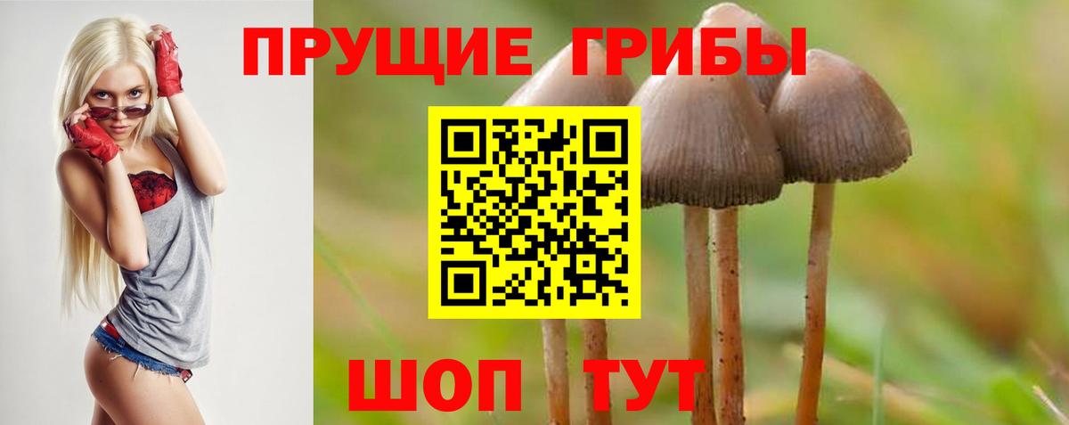 Псилоцибиновые грибы ЛСД Волгодонск